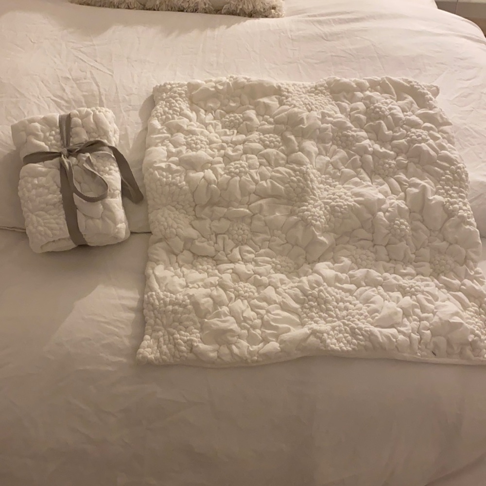 Anthropologie Euro Pillow Case